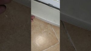 Холодильник sharp 15 лет, провисла дверь, выезд после 2х "м?