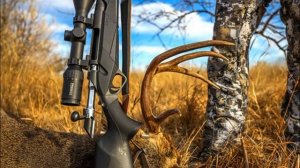 💥 BENELLI WILD LUPO КАРАБИН.