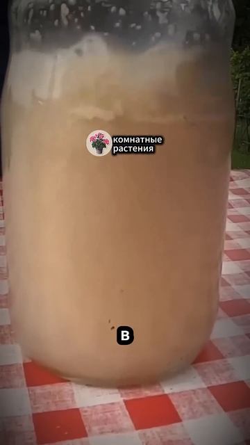 Ваш урожай увеличится в 2 раза #сад #дача #garden #огород #pla смотреть онлайн