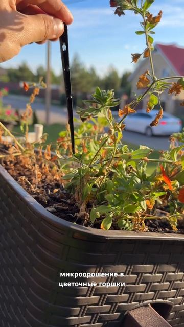 Автополив цветочных горшков