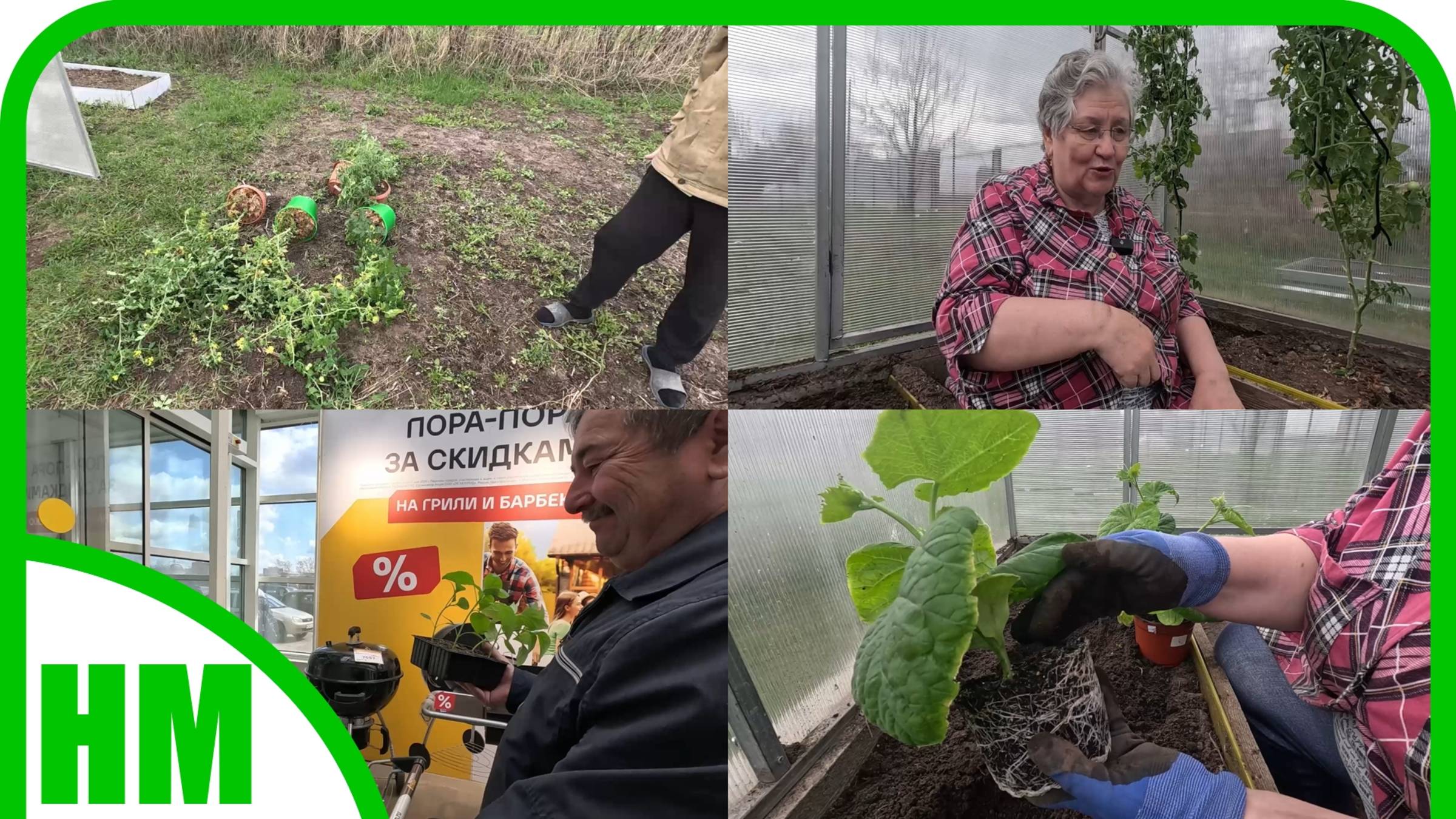 7 мая. Высадила огурцы в теплицу. Выживут ли в холодные ночи? Помидоры уже плодоносят в теплице. смотреть онлайн