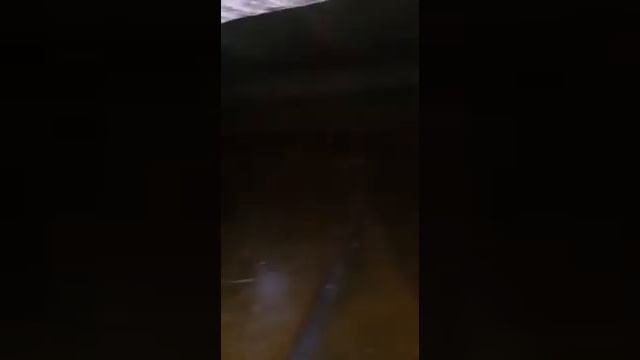 Проверка подвалов от 14.05.2018. 12 корпус. смотреть онлайн