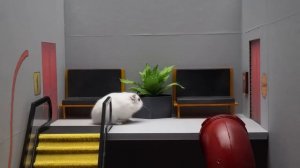 Если бы мой хомяк был в саду Банбана - хомяк сбегает из удивительного лабиринта с ловушками