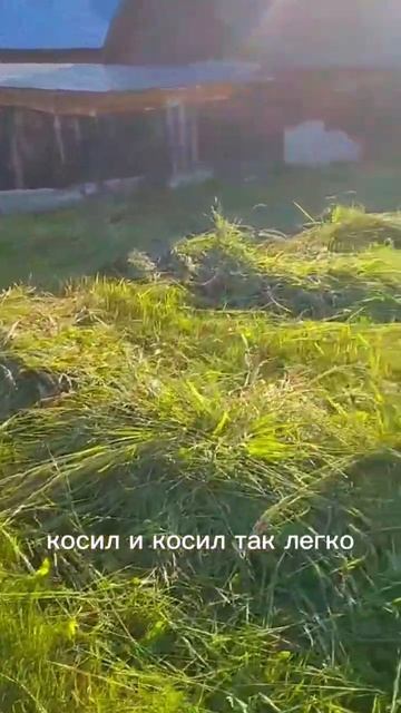 хорошего дня,друзья!Пусть ваш день пройдет так же легк смотреть онлайн