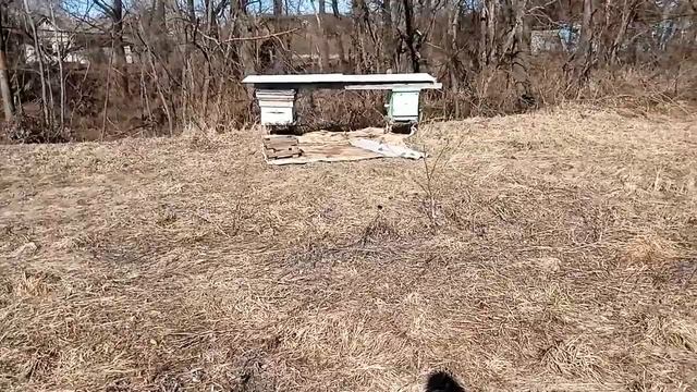 Обзор на 21 марта, разминка перед началом генеральной у смотреть онлайн