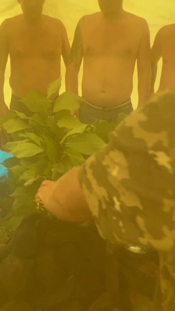 Походная баня на берегу Белой реки в Башкирии #банщик #