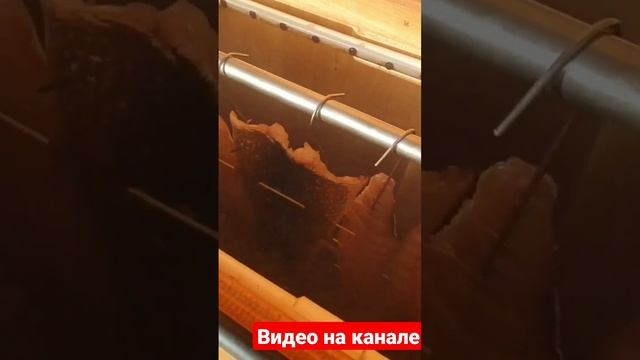 Юкола из щуки холодного копчения за 20 минут