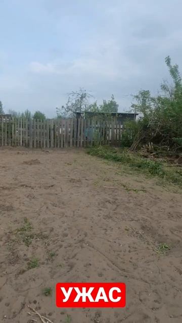 бабушкин огород: УЖАС что твориться у бабушки на участ смотреть онлайн