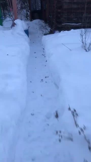 Купили загородный дом, с баней , классной беседкой и ре смотреть онлайн