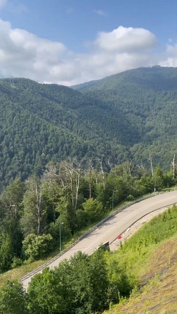 Эсто-Садок Беседка Коготь, Красная Поляна смотреть онлайн