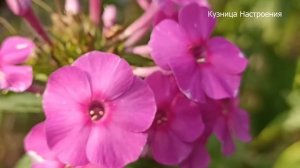 24 февраля Масленица. Что нельзя делать 24 февраля  Масл?