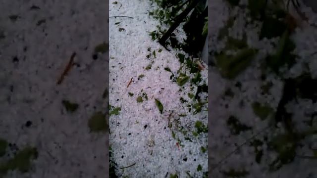 Град 6 июля Бийск 3 серия. Лук или слой снега. смотреть онлайн