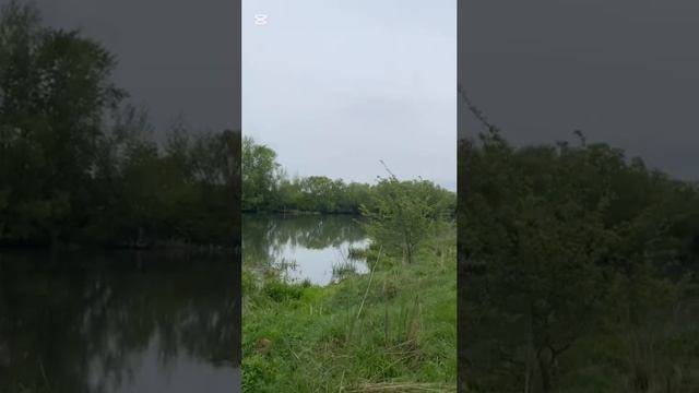 РЕЛАКС смотреть онлайн