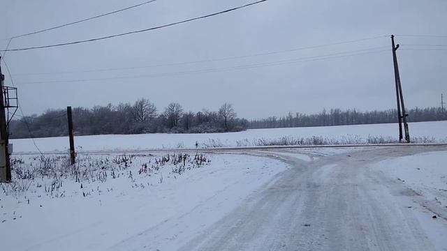 Счастье в мелочах)) снег,цветы...