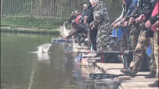 Поимки спорт зона смотреть онлайн