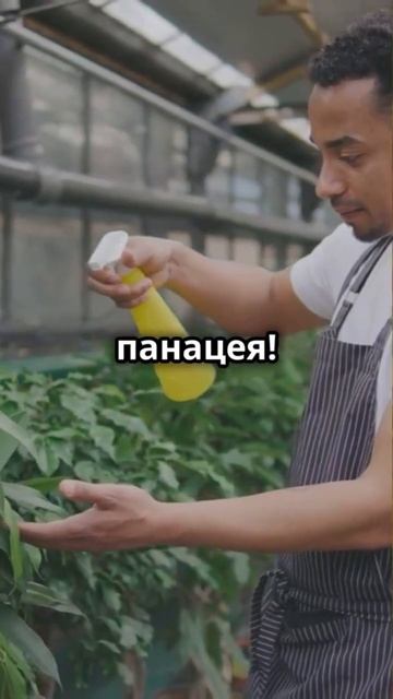 Ошибки при удобрении весной #удобрения #весенниеработ смотреть онлайн