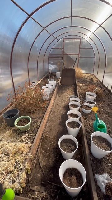 31 марта. Приехали на участок. #огород #сад #рассада #дач? смотреть онлайн