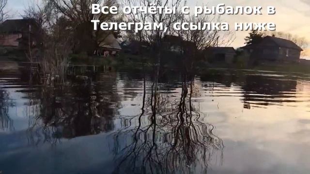 Нерест сопы и леща. Рыбалка в Ленинградской области смотреть онлайн