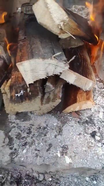 коптим леща смотреть онлайн