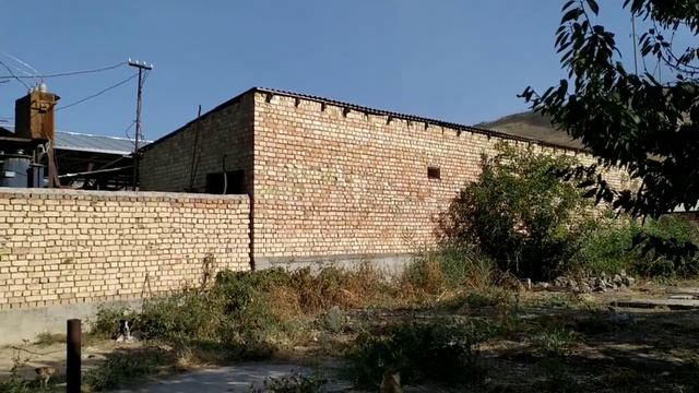 Бизнеске ылайык 35 сотых ЖЕР, 6*30 САРАЙ, 5 бөлмө ҮЙ бак-да? смотреть онлайн