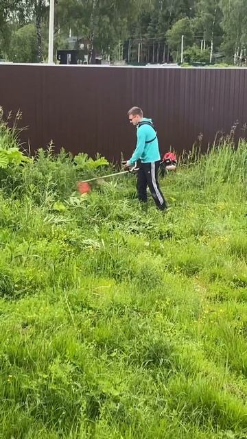 #косимтраву#дача#огород#строимдом#трава#газонокосилк? смотреть онлайн