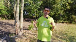 Мини Барн. ПЛАНИРОВКА ДОМА. посадка дома на участок [ми