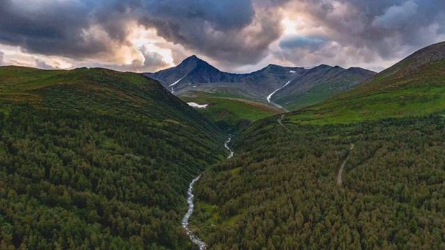 Невероятное подземное путешествие барона Трампа / Кол смотреть онлайн