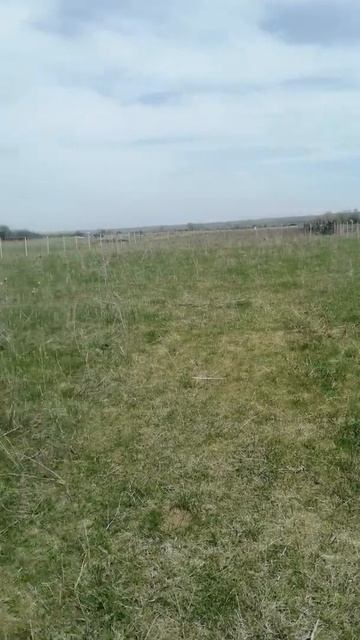 шарнирная сетка, самостоятельно самостоятельно смотреть онлайн