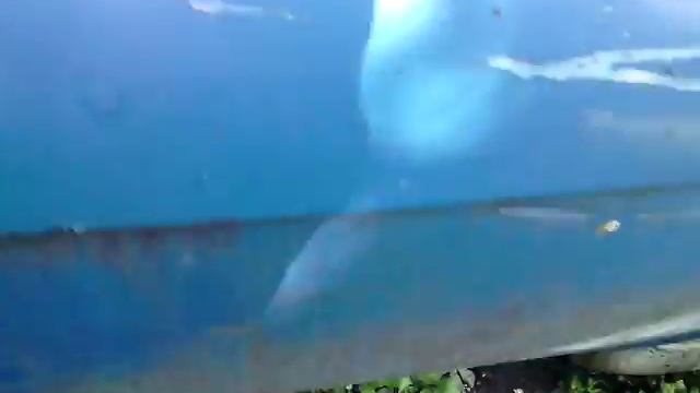 Прикол Галя спит в машине смотреть онлайн