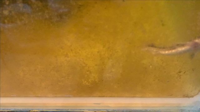 Пруд в гараже.Сплошная рутина.Ничего интересного смотреть онлайн