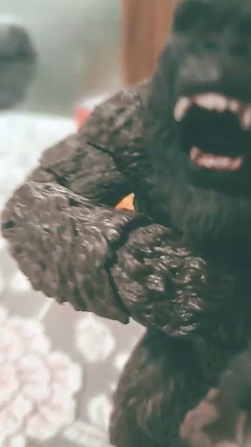 кин конг приехал🥳🥳🥳🥳🥳