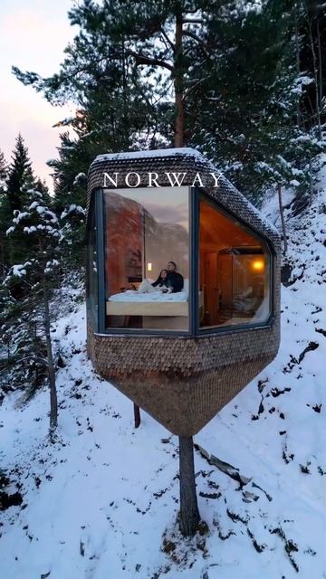 🗺Норвегия 🇳🇴 Причудливые дома на деревьях строили?