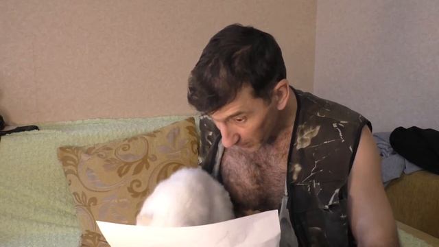 Кто в доме хозяин? смотреть онлайн