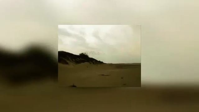 babangida - калик