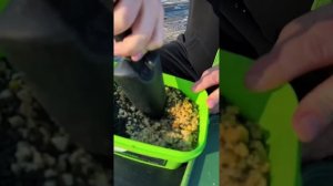 Прикормка для холодной воды! Как поймать карпа весной?