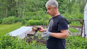 Грядка из обожженной доски, спустя 3 года!