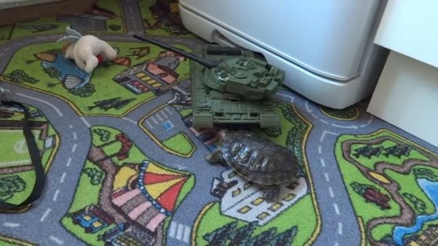 красноухая черепашка чешет спинку об танк смотреть онлайн
