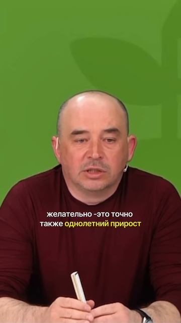 Просто и доступно о размножении хвойных и лиственных ? смотреть онлайн