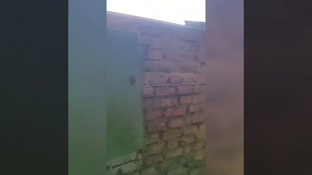 Ваша дача в СНТ Зайцево смотреть онлайн