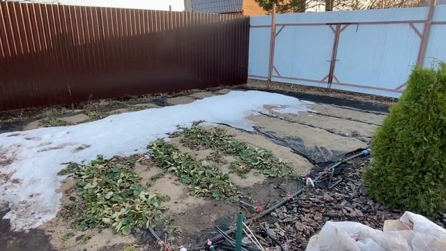 Сад после зимы. Накрываем балаганы пленкой и смотрим н смотреть онлайн