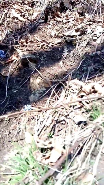 Пещера на горе Бештау 20210210