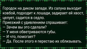 Как Сын Барина Крестьянскую Дочь в Баню Повел! Сборник