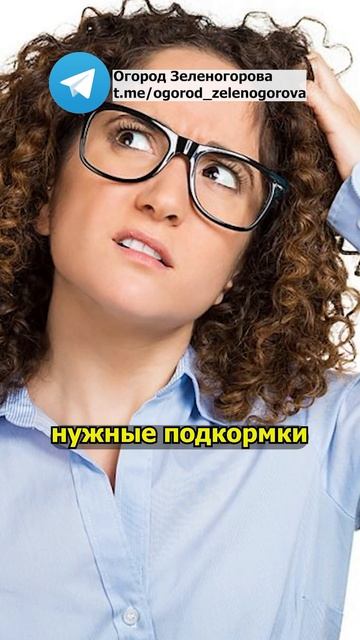 Вы неправильно используете яичную скорлупу смотреть онлайн