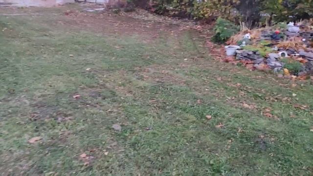 В Эстонии бушует шторм/Посадка чеснока/Намыли парник смотреть онлайн