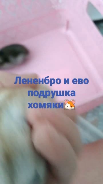 24 февраля 2022 г.