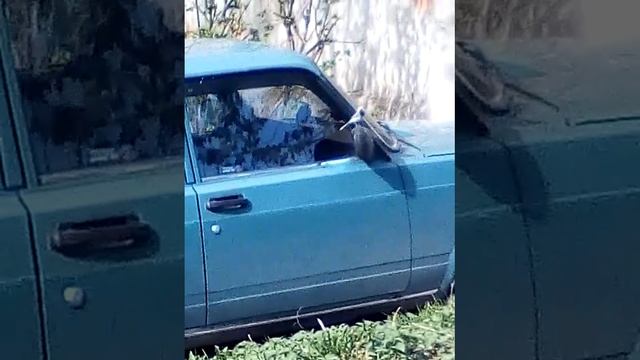 Нука зеркало скажи кто на свете всех красивый смотреть онлайн