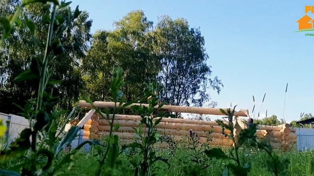 Как мы собираем сруб 6×6+2 м вынос в чашу, полтора этажа / смотреть онлайн