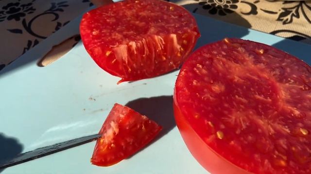 ЮСУПОВСКИЕ // обзор томата // ВЫСЫЛАЮ СЕМЕНА смотреть онлайн