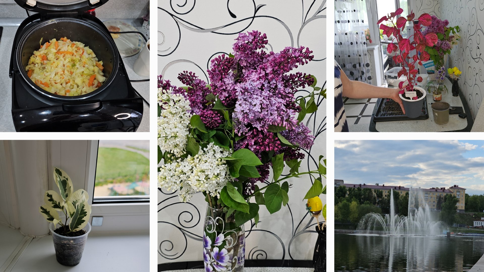 07.05.2025 г Готовлю обед/ Тушеная капуста/ Букет сирени/ Фикус де Гантель/ Набережная/ Прогулка смотреть онлайн