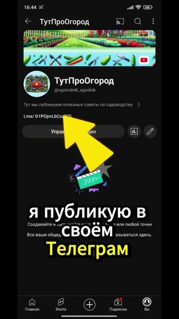 Народный рецепт урожая огурцов #дача #овощи #огород #р? смотреть онлайн